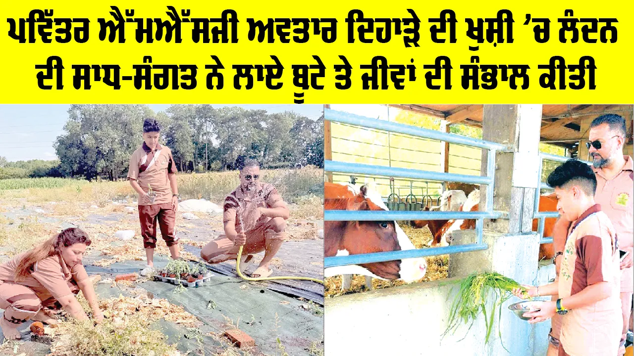 ਪਵਿੱਤਰ ਐੱਮਐੱਸਜੀ ਅਵਤਾਰ ਦਿਹਾੜੇ ਦੀ ਖੁਸ਼ੀ ’ਚ ਲੰਦਨ ਦੀ ਸਾਧ-ਸੰਗਤ ਨੇ ਲਾਏ ਬੂਟੇ