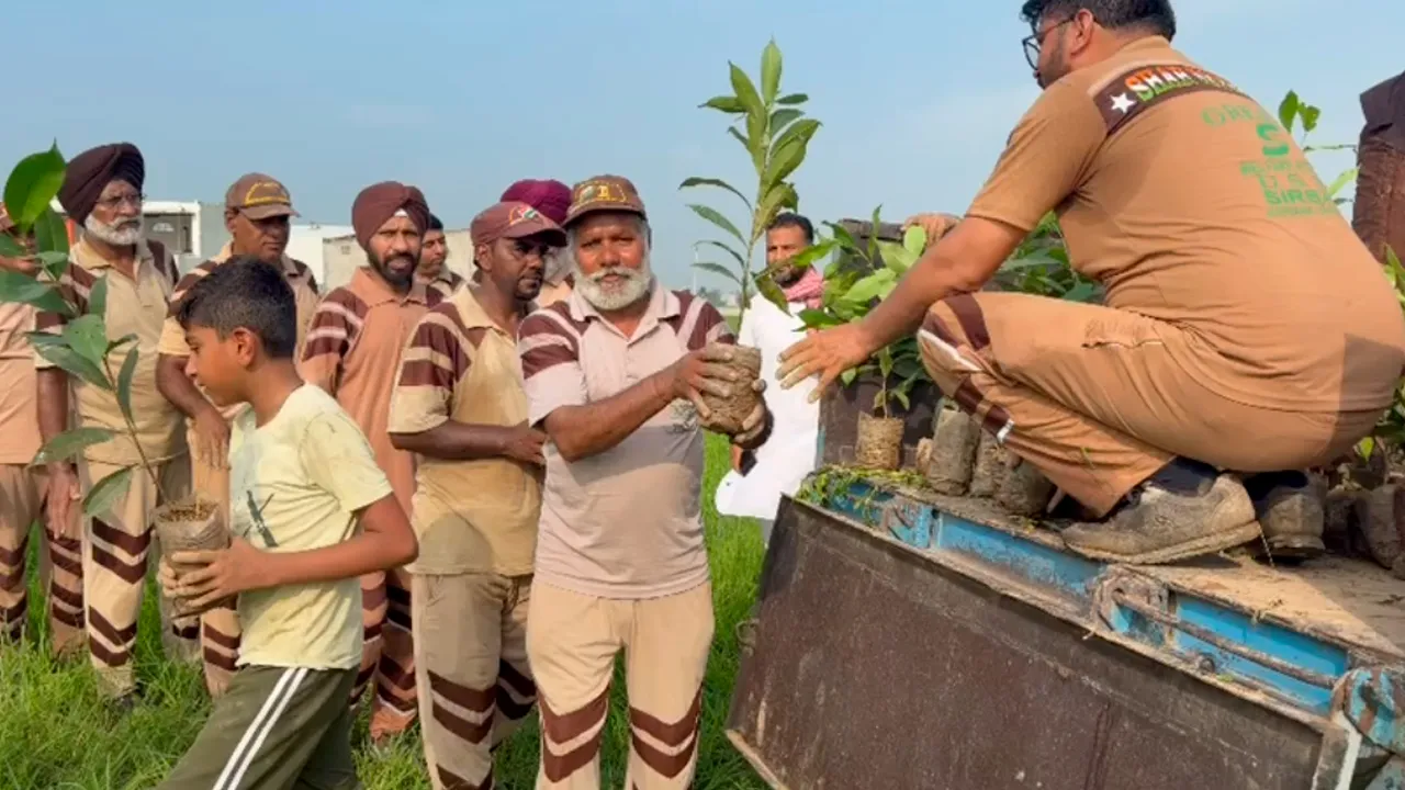 Moga Tree Plantation: ਮੋਗਾ ਜ਼ਿਲ੍ਹੇ ਦੀ ਸਾਧ-ਸੰਗਤ ਨੇ ਲਾਏ 14300 ਪੌਦੇ