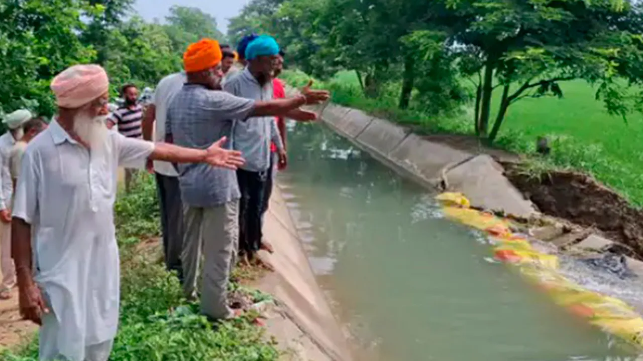 Patiala News: ਪਟਿਆਲਾ ਦੇ ਸੁਨਿਆਰਹੇੜੀ ’ਚ ਸਨੌਰ ਸੂਆ ਟੁੱਟਣ ਨਾਲ 100 ਏਕੜ ਝੋਨੇ ਦੀ ਫਸਲ ਪਾਣੀ ’ਚ ਡੁੱਬੀ