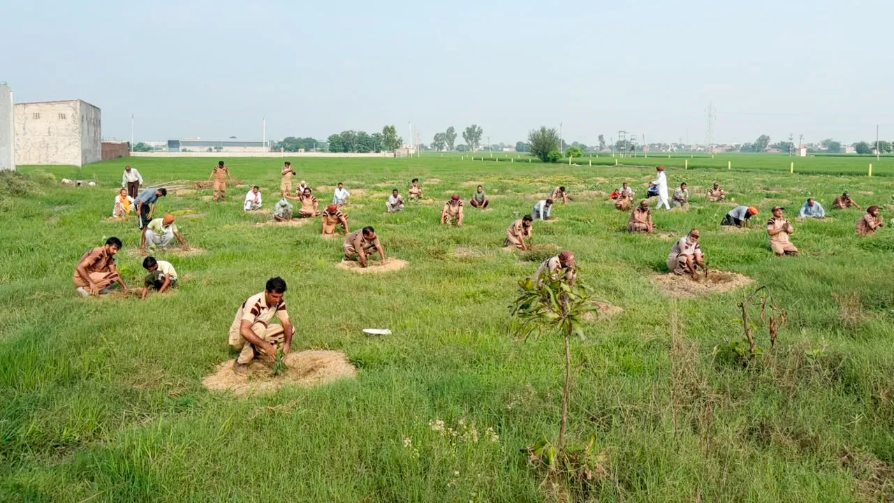 Sangat