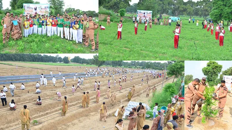Tree Plantation: ਪੂਜਨੀਕ ਗੁਰੂ ਸੰਤ ਡਾ. ਐੱਮਐੱਸਜੀ ਦੇ ਅਵਤਾਰ ਦਿਵਸ ’ਤੇ ਧਰਤੀ ਨੂੰ ਹਰਿਆਲੀ ਦਾ ਤੋਹਫਾ