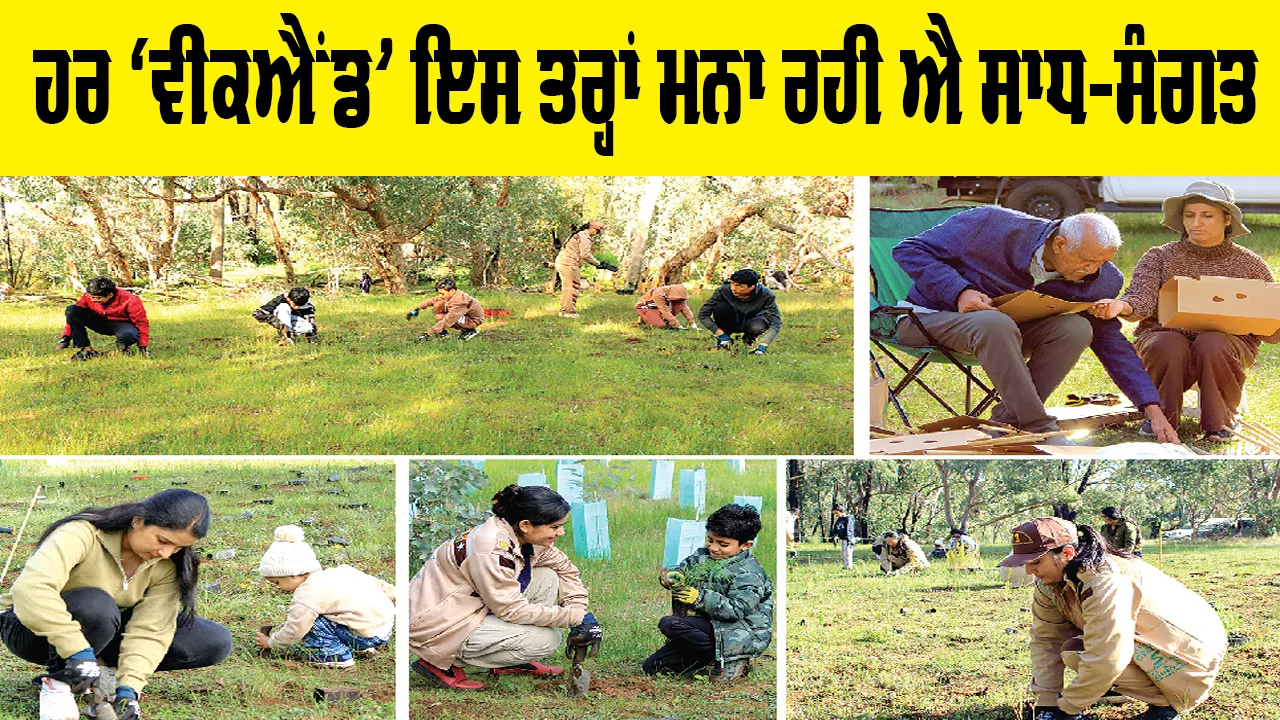 Welfare Work: ਵਾਤਾਵਰਨ ਨੂੰ ਸਾਫ-ਸੁਥਰਾ ਰੱਖਣ ਦਾ ਸੰਕਲਪ ਲੜੀ ’ਚ ਪਰਥ ’ਚ ਸਾਧ-ਸੰਗਤ ਨੇ ਲਾਏ 3000 ਬੂਟੇ