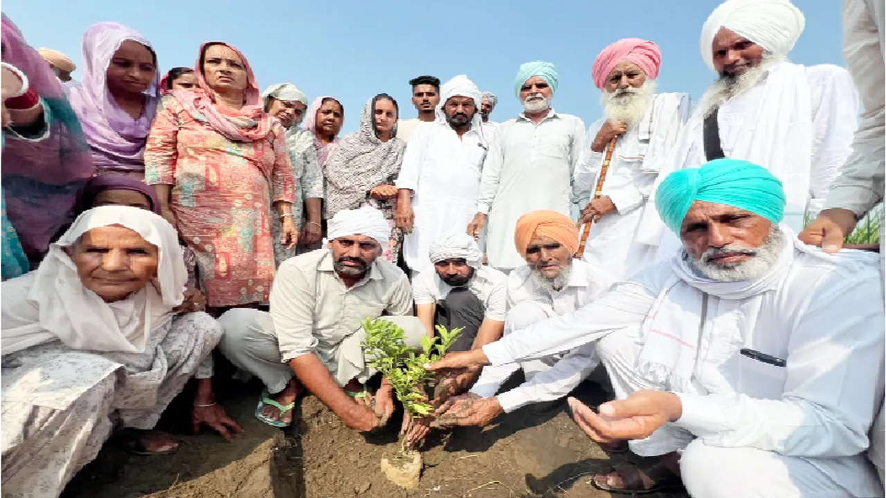 Welfare Work: ਸੱਚਖੰਡ ਵਾਸੀ ਅਮਰਜੀਤ ਕੌਰ ਇੰਸਾਂ ਦੀ ਯਾਦ ’ਚ ਲਾਇਆ ਬੂਟਾ