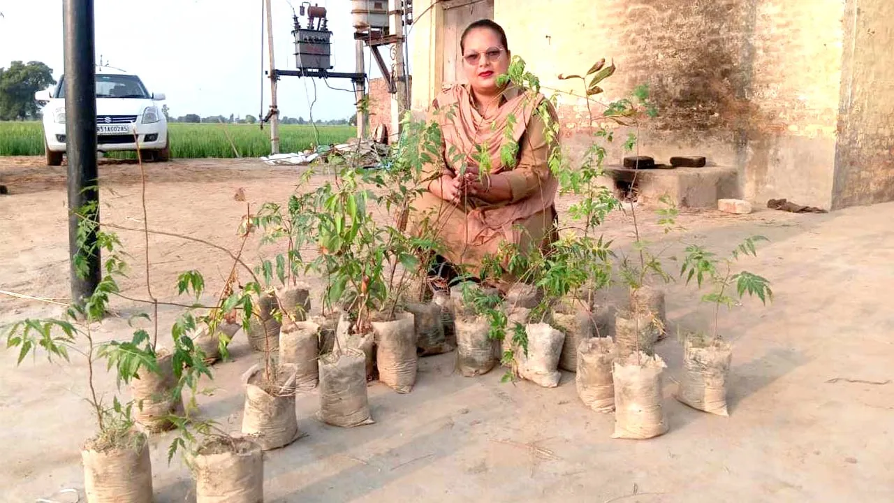 Birthday Tree Plantation: ਡੇਰਾ ਸ਼ਰਧਾਲੂ ਰੋਮੀ ਰਾਣੀ ਇੰਸਾਂ ਨੇ 37 ਪੌਦੇ ਲਗਾ ਕੇ ਜਨਮਦਿਨ ਬਣਾ ਦਿੱਤਾ ਖਾਸ 