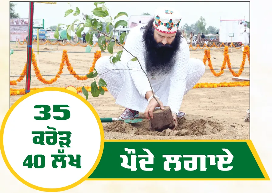 Dera Sacha Sauda 4