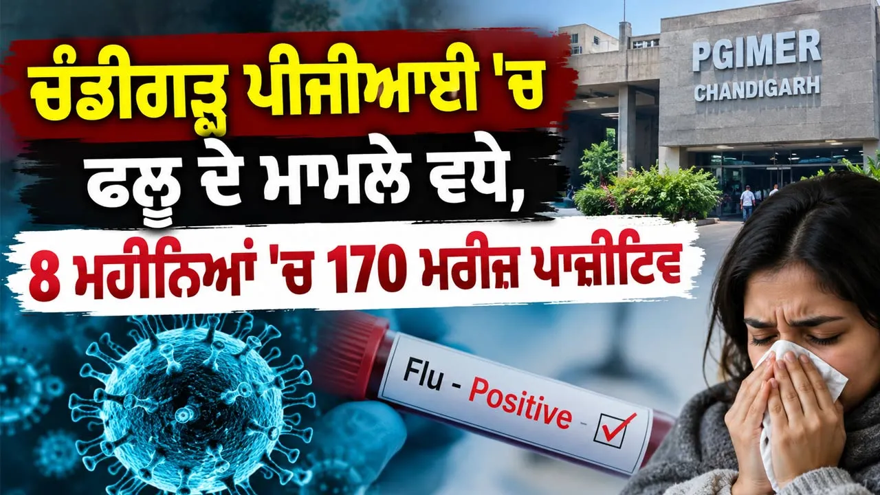 Chandigarh PGI Flu Cases: ਚੰਡੀਗੜ੍ਹ ਪੀਜੀਆਈ ’ਚ ਫਲੂ ਦੇ ਮਾਮਲੇ ਵਧੇ, 8 ਮਹੀਨਿਆਂ ’ਚ 170 ਮਰੀਜ਼ ਪਾਜ਼ੀਟਿਵ
