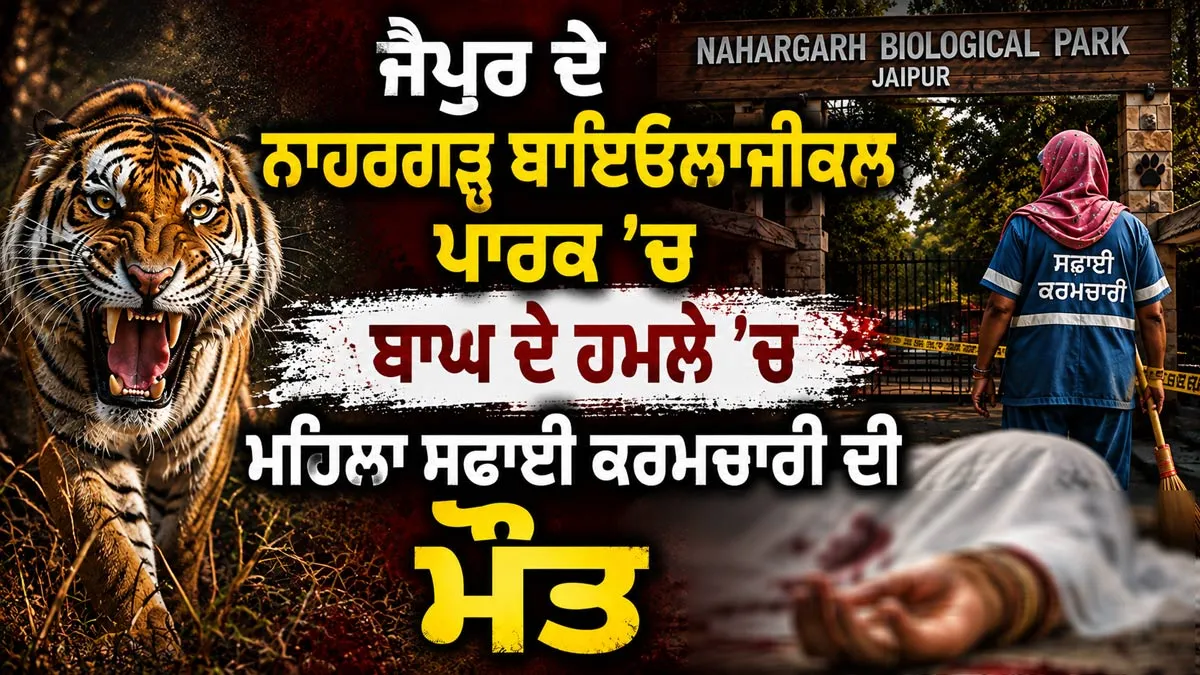 Jaipur Tiger Attack: ਜੈਪੁਰ ਦੇ ਨਾਹਰਗੜ੍ਹ ਬਾਇਓਲਾਜੀਕਲ ਪਾਰਕ ’ਚ ਬਾਘ ਦੇ ਹਮਲੇ ’ਚ ਮਹਿਲਾ ਸਫਾਈ ਕਰਮਚਾਰੀ ਦੀ ਮੌਤ 