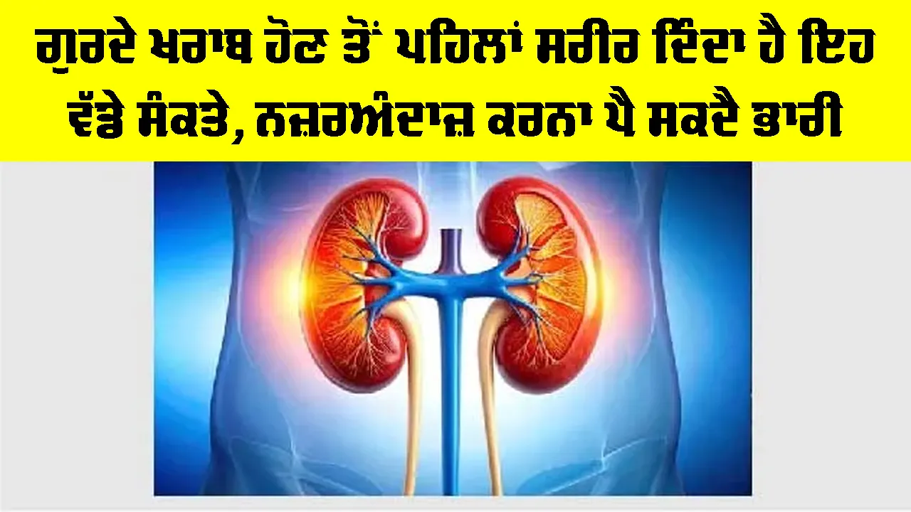 Kidney Disease Symptoms: ਗੁਰਦੇ ਖਰਾਬ ਹੋਣ ਤੋਂ ਪਹਿਲਾਂ ਸਰੀਰ ਦਿੰਦਾ ਹੈ ਇਹ ਵੱਡੇ ਸੰਕਤੇ, ਨਜ਼ਰਅੰਦਾਜ਼ ਕਰਨਾ ਪੈ ਸਕਦੈ ਭਾਰੀ