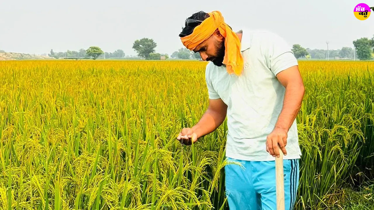 Kisan News: ਦੁੱਨੇਵਾਲਾ ਦਾ ਸੁਖਰਾਜ ਸਿੰਘ 21 ਏਕੜ ਰਕਬੇ ’ਚ ਝੋਨੇ ਦੀ ਪਰਾਲੀ ਦੀ ਬਿਨਾਂ ਅੱਗ ਲਾਏ ਕਰ ਰਿਹਾ ਹੈ ਸੰਭਾਲ