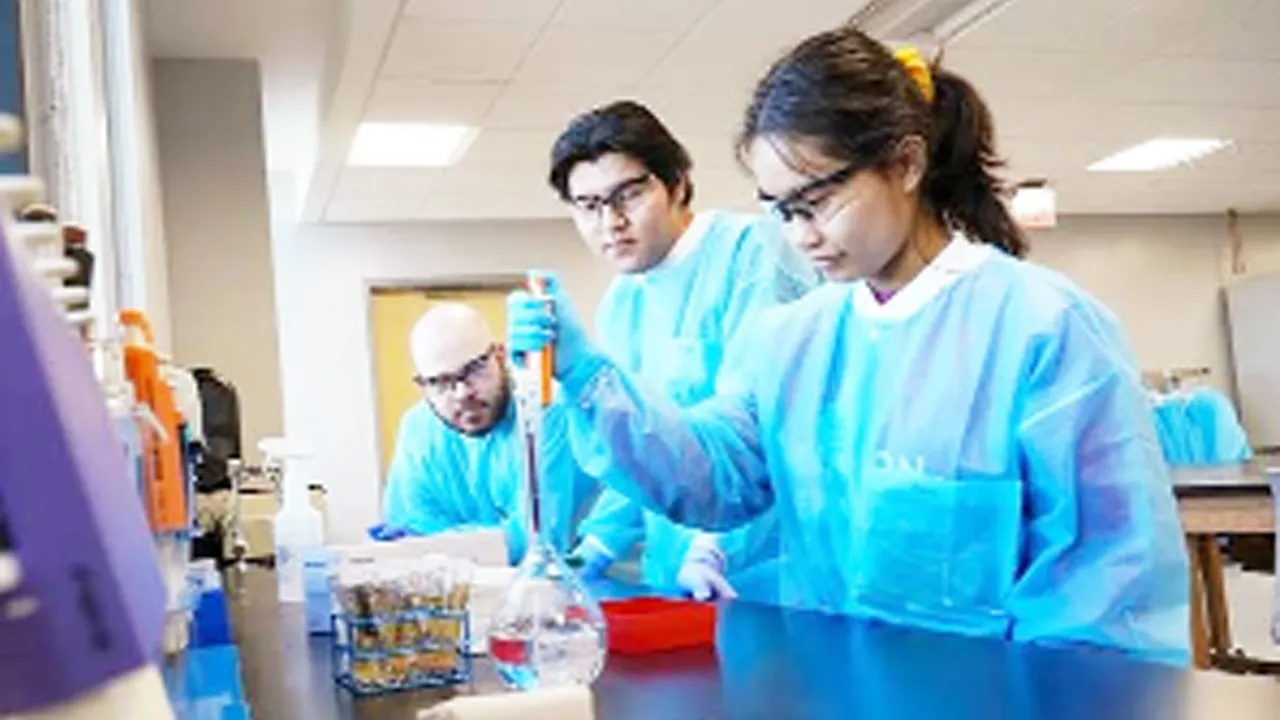 Medical Laboratory Technology: ਮੈਡੀਕਲ ਲੈਬ ਤਕਨਾਲੋਜੀ ਦੇ ਖੇਤਰ ’ਚ ਕਰੀਅਰ
