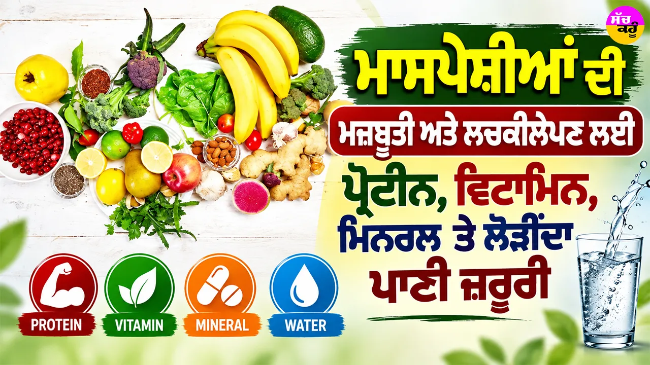Muscle Strength: ਮਾਸਪੇਸ਼ੀਆਂ ਦੀ ਮਜ਼ਬੂਤੀ ਅਤੇ ਲਚਕੀਲੇਪਣ ਲਈ ਪ੍ਰੋਟੀਨ, ਵਿਟਾਮਿਨ, ਮਿਨਰਲ ਤੇ ਲੋੜੀਂਦਾ ਪਾਣੀ ਜ਼ਰੂਰੀ