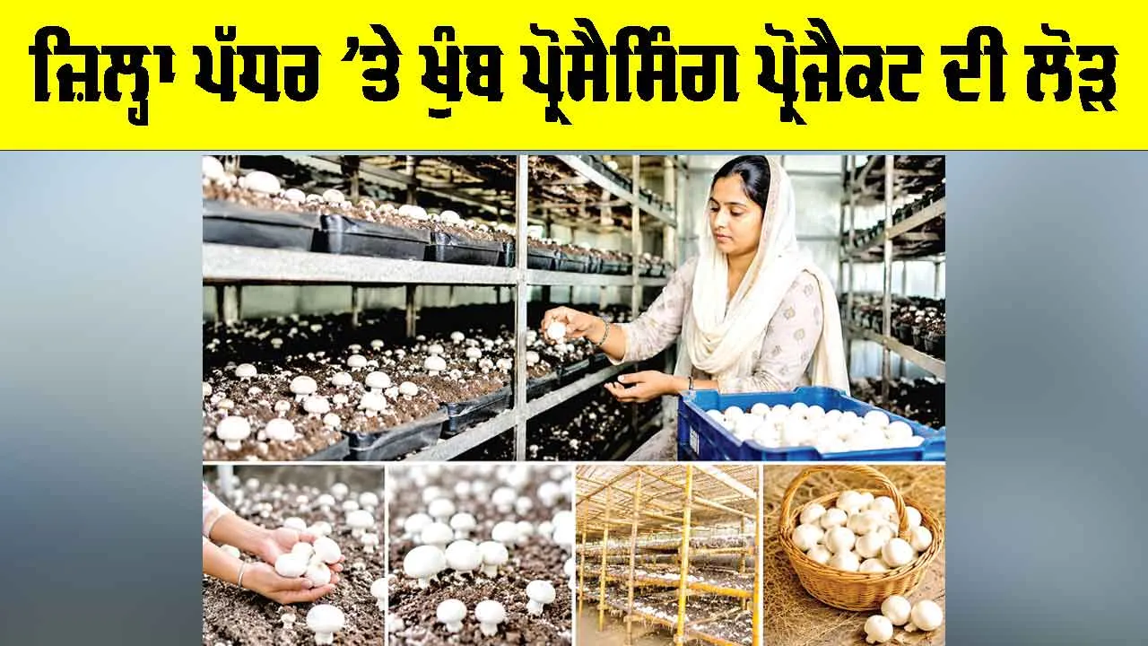 Mushroom Processing Project: ਜ਼ਿਲ੍ਹਾ ਪੱਧਰ ’ਤੇ ਖੁੰਬ ਪ੍ਰੋਸੈਸਿੰਗ ਪ੍ਰੋਜੈਕਟ ਦੀ ਲੋੜ