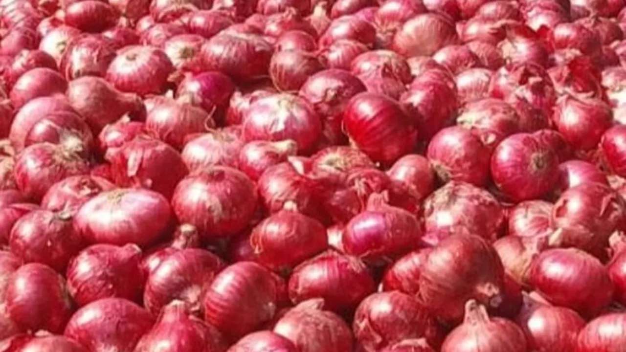 Onion Price: ਪਿਆਜ਼ ਨੇ ਰਸੋਈ ਦਾ ਬਜਟ ਵਿਗਾੜਿਆ, ਪ੍ਰਚੂਨ ਕੀਮਤ 70 ਰੁਪਏ ਪ੍ਰਤੀ ਕਿਲੋ ਤੱਕ ਪਹੁੰਚੀ