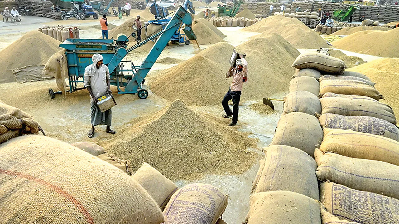 Paddy Procurement Punjab: ਝੋਨੇ ਦੀ ਖ਼ਰੀਦ ਲਈ 42,786 ਕਰੋੜ ਰੁਪਏ ਦੀ ਸੀਸੀਐੱਲ ਮਨਜ਼ੂਰ