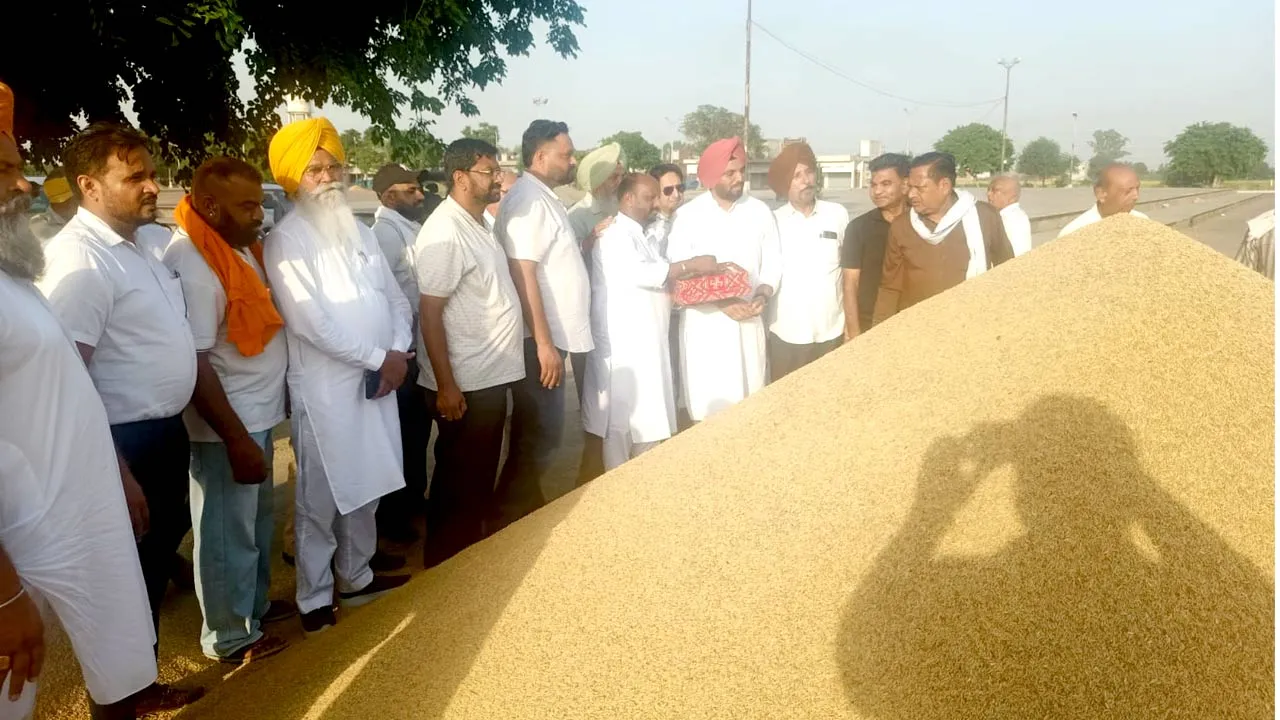 Ghagga Paddy Procurement: ਘੱਗਾ ਮੰਡੀ ’ਚ ਸ਼ੁਰੂ ਹੋਈ ਝੋਨੇ ਦੀ ਖਰੀਦ, ਕਿਸਾਨਾਂ ਨੂੰ ਲੈ ਕੇ ਲਿਆ ਗਿਆ ਵੱਡਾ ਫੈਸਲਾ
