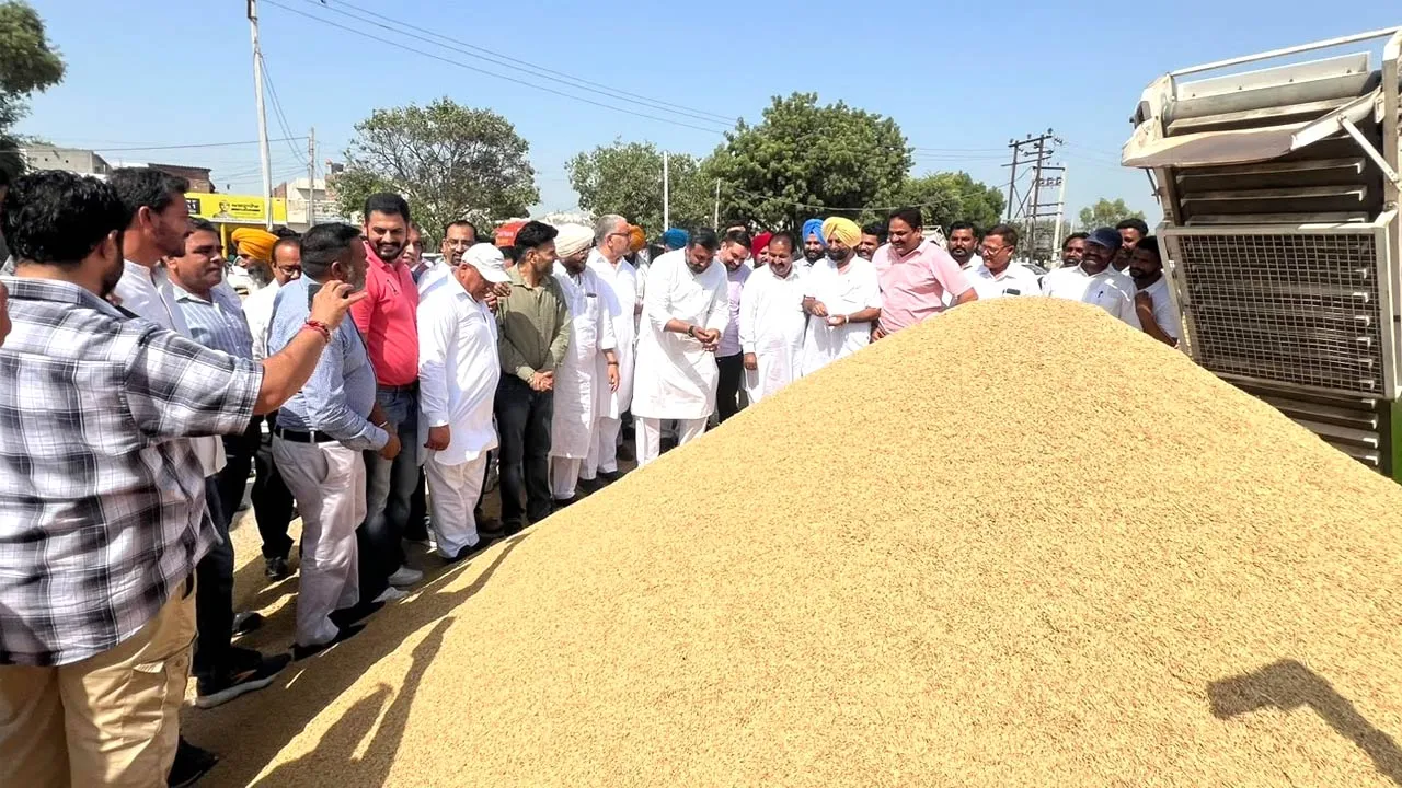 Government Paddy Purchase: ਜਲਾਲਾਬਾਦ ਦੇ ਵਿਧਾਇਕ ਨੇ ਦਾਣਾ ਮੰਡੀ ਜਲਾਲਾਬਾਦ ਅਤੇ ਘੁਬਾਇਆ ਵਿਖੇ ਝੋਨੇ ਦੀ ਸਰਕਾਰੀ ਖਰੀਦ ਸ਼ੁਰੂ ਕਰਵਾਈ