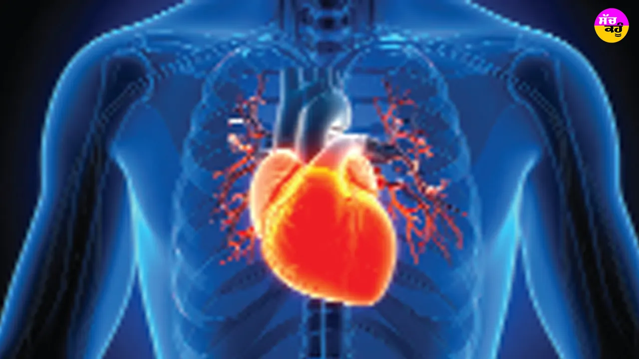 Heart Attack vs Cardiac Arrest: ਹਾਰਟ ਅਟੈਕ ਤੇ ਕਾਰਡੀਅਕ ਅਰੈਸਟ ’ਚ ਫਰਕ ਨੂੰ ਪਛਾਣੋ