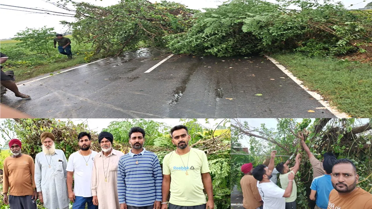 Heavy Rain: ਡੇਰਾ ਸੱਚਾ ਸੌਦਾ ਦੇ ਸੇਵਾਦਾਰਾਂ ਨੇ ਤੇਜ਼ ਹਨ੍ਹੇਰੀ ਤੇ ਮੀਂਹ ਕਾਰਨ ਸੜਕ ਤੇ ਡਿੱਗੇ ਦਰੱਖਤਾਂ ਨੂੰ ਹਟਾਇਆ
