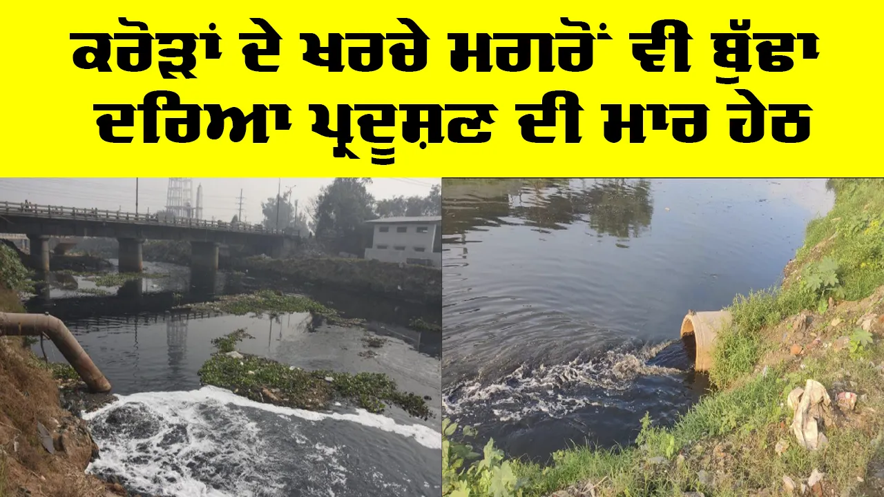 Ludhiana News: ਕਰੋੜਾਂ ਦੇ ਖਰਚੇ ਮਗਰੋਂ ਵੀ ਬੁੱਢਾ ਦਰਿਆ ਪ੍ਰਦੂਸ਼ਣ ਦੀ ਮਾਰ ਹੇਠ