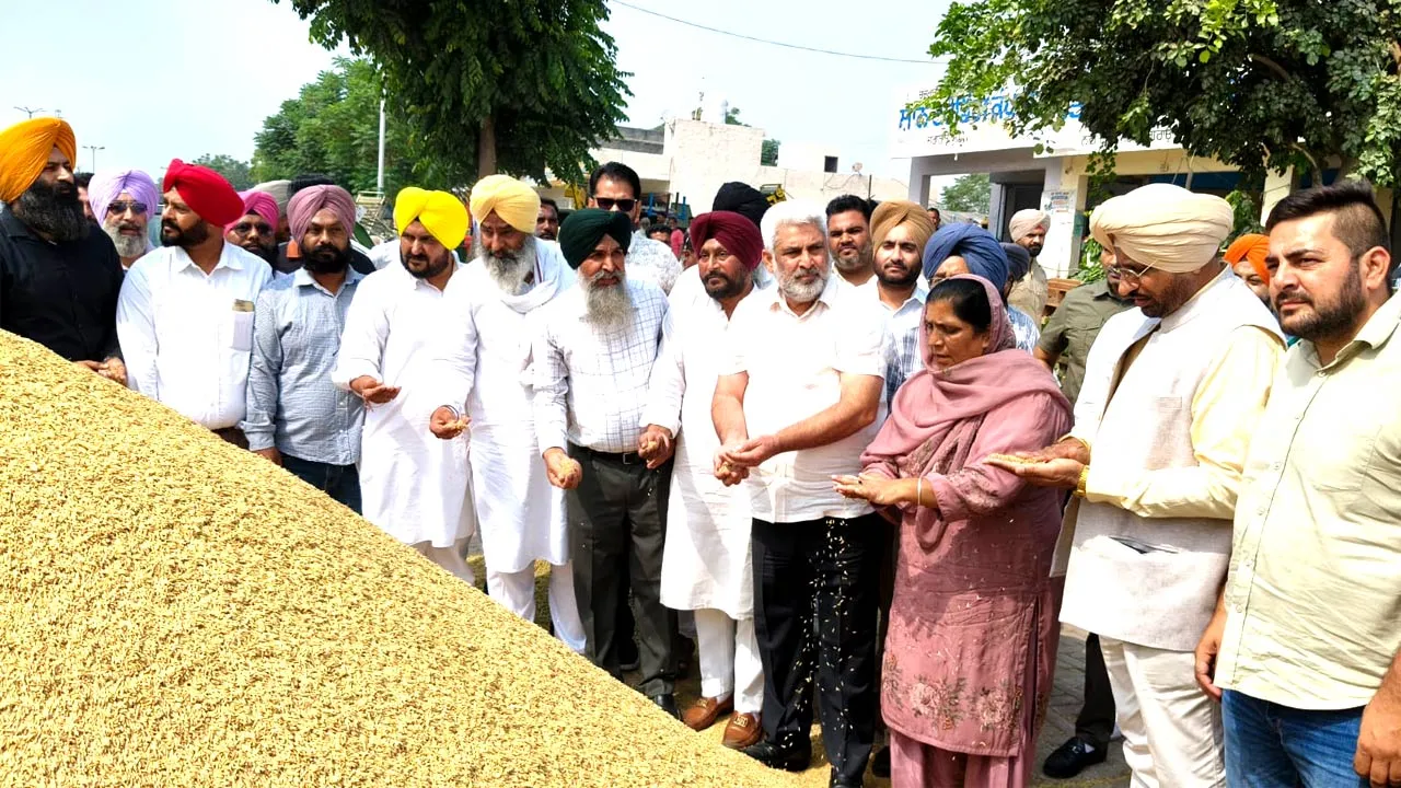 Paddy Procurement Punjab: ਪੰਜਾਬ ਦੀਆਂ ਮੰਡੀਆਂ ਵਿੱਚ 8.50 ਲੱਖ ਮੀਟਰਕ ਟਨ ਝੋਨੇ ਦੀ ਆਮਦ, 7.50 ਲੱਖ ਮੀਟਰਕ ਟਨ ਦੀ ਖਰੀਦ: ਮੰਤਰੀ ਲਾਲ ਚੰਦ ਕਟਾਰੂਚੱਕ