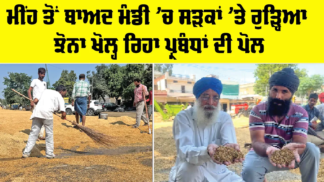 Patiala News: ਮੀਂਹ ਤੋਂ ਬਾਅਦ ਮੰਡੀ ’ਚ ਸੜਕਾਂ ’ਤੇ ਰੁੜ੍ਹਿਆ ਝੋਨਾ ਖੋਲ੍ਹ ਰਿਹਾ ਪ੍ਰਬੰਧਾਂ ਦੀ ਪੋਲ