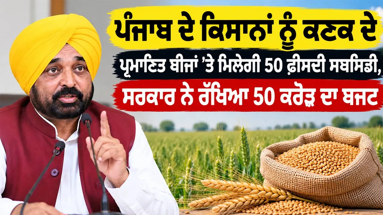 Punjab Farmers News: ਪੰਜਾਬ ਦੇ ਕਿਸਾਨਾਂ ਨੂੰ ਕਣਕ ਦੇ ਪ੍ਰਮਾਣਿਤ ਬੀਜਾਂ ’ਤੇ ਮਿਲੇਗੀ 50 ਫ਼ੀਸਦੀ ਸਬਸਿਡੀ, ਸਰਕਾਰ ਨੇ ਰੱਖਿਆ 50 ਕਰੋੜ ਦਾ ਬਜਟ