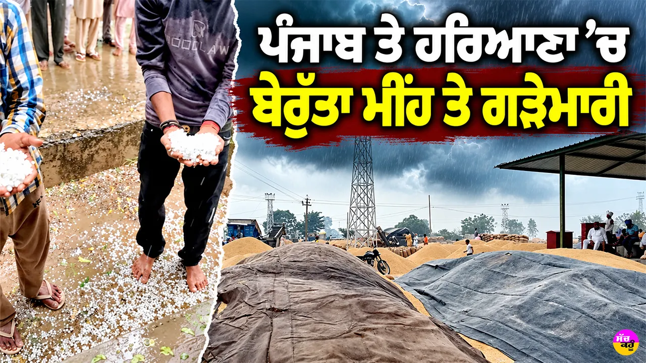 Punjab Hailstorm News: ਪੰਜਾਬ ਤੇ ਹਰਿਆਣਾ ’ਚ ਬੇਰੁੱਤਾ ਮੀਂਹ ਤੇ ਗੜੇਮਾਰੀ