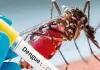Punjab Dengue Update: ਪੰਜਾਬ ’ਚ ਡੇਂਗੂ ਦੇ 451 ਮਾਮਲੇ, ਚਿਕਨਗੁਨੀਆ ਦੇ 16 ਕੇਸ