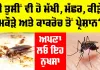 Mosquitoes and Cockroaches: ਕੀ ਤੁਸੀਂ ਵੀ ਹੋ ਮੱਖੀ, ਮੱਛਰ, ਕੀੜੇ, ਮਕੌੜੇ ਅਤੇ ਕਾਕਰੋਚ ਤੋਂ ਪ੍ਰੇਸ਼ਾਨ, ਤਾਂ ਅਪਣਾ ਲਓ ਇਨ੍ਹਾਂ ਨੂੰ ਭਜਾਉਣ ਦਾ ਇਹ ਨੁਕਤਾ