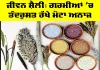 Summer Diet: ਜੀਵਨ ਸ਼ੈਲੀ, ਗਰਮੀਆਂ ’ਚ ਤੰਦਰੁਸਤ ਰੱਖੇ ਮੋਟਾ ਅਨਾਜ