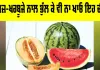 Watermelon Health Tips: ਤਰਬੂਜ਼-ਖਰਬੂਜੇ ਨਾਲ ਭੁੱਲ ਕੇ ਵੀ ਨਾ ਖਾਓ ਇਹ ਚੀਜ਼ਾਂ