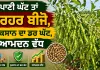 Arhar Farming: ਪਾਣੀ ਘੱਟ ਤਾਂ ਹਰਹਰ ਬੀਜੋ, ਨੁਕਸਾਨ ਦਾ ਡਰ ਘੱਟ, ਆਮਦਨ ਵੱਧ