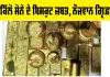 Gold News: 37 ਕਿਲੋ ਸੋਨੇ ਦੇ ਬਿਸਕੁਟ ਜ਼ਬਤ, ਨੌਜਵਾਨ ਗ੍ਰਿਫ਼ਤਾਰ