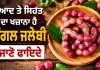 Jungle Jalebi Benefits: ਸੁਆਦ ਤੇ ਸਿਹਤ ਦਾ ਖਜ਼ਾਨਾ ਹੈ ਜੰਗਲ ਜਲੇਬੀ, ਜਾਣੋ ਫਾਇਦੇ