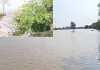 Kotkapura Canal Breach: ਕੋਟਕਪੂਰਾ ਦੇ ਪਿੰਡ ਠਾੜਾ ਨੇੜੇ ਰਜਵਾਹਾ ਮੁੜ ਟੁੱਟਿਆ, 60-70 ਏਕੜ ਫਸਲ ਡੁੱਬੀ