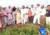 Malout News: ਮਾਨਵਤਾ ਲਈ ਮਿਸਾਲ: ਦੇਹਾਂਤ ਤੋਂ ਬਾਅਦ ਪੰਜਾਬ ਪੁਲਿਸ ਦੇ ਜਵਾਨ ਦੀਆਂ ਅਸਥੀਆਂ ’ਤੇ ਪਰਿਵਾਰ ਨੇ ਫ਼ਲਦਾਰ ਬੂਟਾ ਲਗਾ ਕੇ ਵਾਤਾਵਰਣ ਨੂੰ ਬਚਾਉਣ ਦਾ ਦਿੱਤਾ ਸੰਦੇਸ਼ 