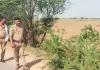 Road Accident: ਤੇਜ਼ ਰਫ਼ਤਾਰ ਟਰੈਕਟਰ ਖੱਡ ’ਚ ਪਲਟਿਆ, ਡਰਾਈਵਰ ਦੀ ਮੌਤ