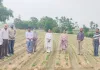 Agriculture News: ਕਿਸਾਨ ਤੇਲ ਬੀਜ ਵਾਲੀਆਂ ਫਸਲਾਂ ਬੀਜਣ ਨੂੰ ਦੇਣ ਤਰਜ਼ੀਹ
