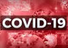 Coronavirus: ਆਂਧਰਾ ਪ੍ਰਦੇਸ਼ ’ਚ ਹੁਣ ਤੱਕ 12 ਕੋਵਿਡ ਮਾਮਲੇ ਆਏ ਸਾਹਮਣੇ, ਚਾਰ ਮੌਤਾਂ