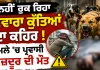 ਨਹੀਂ ਰੁਕ ਰਿਹਾ ਅਵਾਰਾ ਕੁੱਤਿਆਂ ਦਾ ਕਹਿਰ, ਹਮਲੇ 'ਚ ਪ੍ਰਵਾਸੀ ਮਜ਼ਦੂਰ ਦੀ ਮੌਤ