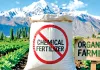Organic Farming: ਕੇਂਦਰ ਸ਼ਾਸਤ ਪ੍ਰਦੇਸ਼ ਲੱਦਾਖ ’ਚ ਰਸਾਇਣਕ ਖਾਦਾਂ ’ਤੇ ਪਾਬੰਦੀ