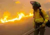 Spain Wildfire: ਸਪੇਨ ਦੇ ਜੰਗਲ ’ਚ ਅੱਗ ਕਾਰਨ 12 ਮੌਤਾਂ, 19 ਲਾਪਤਾ