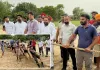 ਰੰਗਲਾ ਪੰਜਾਬ–ਮਿਸ਼ਨ 2027 ਤਹਿਤ ਵਿਧਾਨ ਸਭਾ ਹਲਕਾ ਫਰੀਦਕੋਟ ਵਿੱਚ ਰੱਸਾਕਸੀ ਮੁਕਾਬਲਿਆਂ ਦੀ ਸ਼ਾਨਦਾਰ ਸ਼ੁਰੂਆਤ