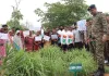 ਵਣ ਮਹਾਂਉਤਸਵ 2026: ਭਾਟੀ ਮਾਈਨਜ਼ ਹਰਬਲ ਗਾਰਡਨ ਵਿਖੇ ਔਸ਼ਧੀ ਪੌਦਿਆਂ ਦੀ ਸੰਭਾਲ ਦਾ ਸੁਨੇਹਾ