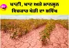 Agriculture News: ਪਾਣੀ, ਖਾਦ ਤੇ ਮਾਨਸੂਨ ਵਿਚਕਾਰ ਖੇਤੀ ਦਾ ਭਵਿੱਖ