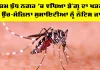 Dengue Cases Noida: ਗੌਤਮ ਬੁੱਧ ਨਗਰ ’ਚ ਵਧਿਆ ਡੇਂਗੂ ਦਾ ਖਤਰਾ, 15 ਉੱਚ-ਮੰਜ਼ਿਲਾ ਸੁਸਾਇਟੀਆਂ ਨੂੰ ਨੋਟਿਸ ਜਾਰੀ