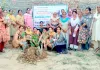 Faridkot Tree Plantation: ਫਰੀਦਕੋਟ ਜ਼ਿਲ੍ਹੇ ’ਚ ਡੇਰਾ ਸੱਚਾ ਸੌਦਾ ਦੀ ਸਾਧ-ਸੰਗਤ ਵੱਲੋਂ 6595 ਪੌਦੇ ਲਾਏ