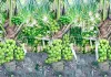 India Coconut Production: ਨਾਰੀਅਲ ਉਤਪਾਦਨ ’ਚ ਭਾਰਤ ਸਭ ਤੋਂ ਅੱਗੇ, ਵਿਸ਼ਵ ਪੱਧਰ ’ਤੇ ਹਿੱਸੇਦਾਰੀ 31 ਫੀਸਦੀ ਤੋਂ ਜ਼ਿਆਦਾ
