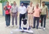 Panchkula News: ਪੰਚਕੂਲਾ ਪੁਲਿਸ ਵੱਲੋਂ ਦੇਸੀ ਬੰਦੂਕ ਤੇ ਜ਼ਿੰਦਾ ਕਾਰਤੂਸ ਸਮੇਤ ਨੌਜਵਾਨ ਕਾਬੂ