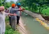 Patiala News: ਪਟਿਆਲਾ ਦੇ ਸੁਨਿਆਰਹੇੜੀ ’ਚ ਸਨੌਰ ਸੂਆ ਟੁੱਟਣ ਨਾਲ 100 ਏਕੜ ਝੋਨੇ ਦੀ ਫਸਲ ਪਾਣੀ ’ਚ ਡੁੱਬੀ